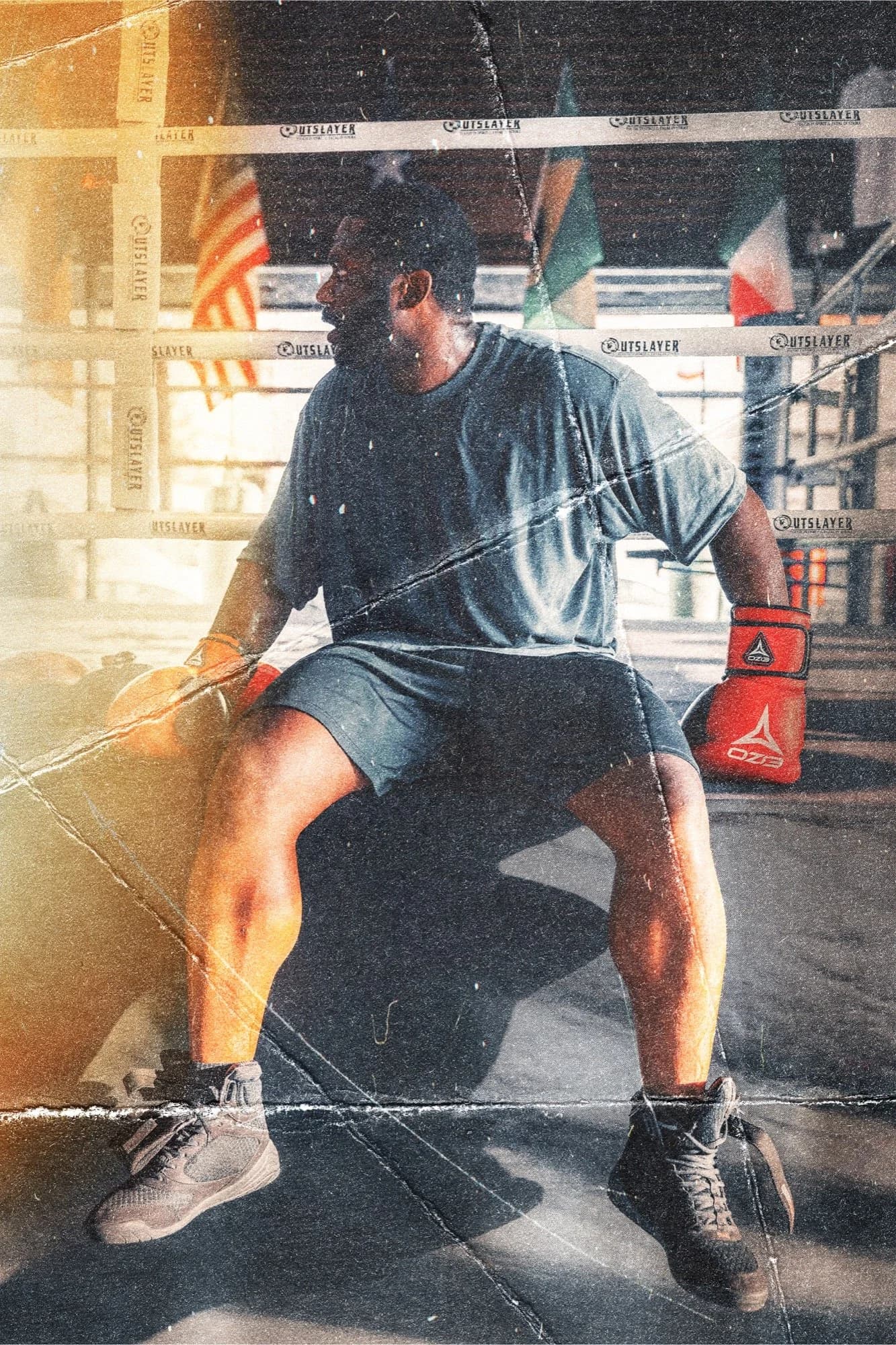 Boxer backlit portrait
