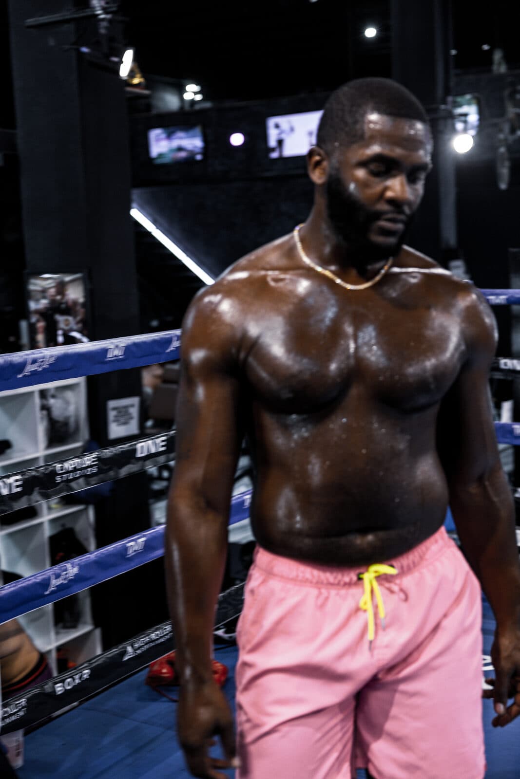 Boxer squared up in the ring